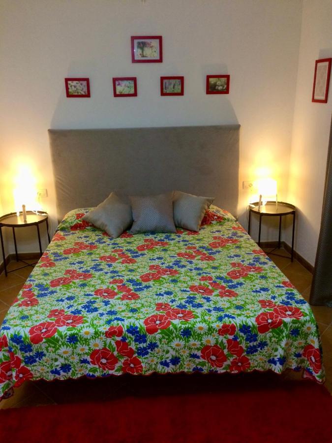 Guesthouse Villa Rosa Berat Buitenkant foto