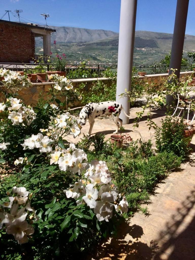 Guesthouse Villa Rosa Berat Kamer foto