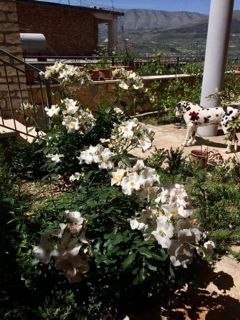 Guesthouse Villa Rosa Berat Kamer foto